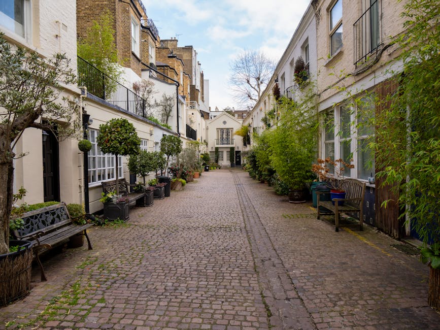 A narrow, cobbled courtyard surrounded by white residential buildings with large windows and small balconies. The garden beds along the walls are filled with various potted plants, including small trees, leafy shrubs, and flowering plants. Some plants are in black plastic containers, while others are planted directly in the soil of the garden beds. Two wooden benches are positioned along the sides, with one on the left featuring decorative metalwork and the other on the right next to a small blue container. The ground shows textured cobblestones with narrow grass patches growing between them, and the area is bathed in natural daylight with soft shadows indicating a partly cloudy sky. Tall plants and trees add greenery and texture to the scene, creating a cozy, well-maintained outdoor space suitable for outdoor relaxation or garden maintenance activities, with an emphasis on landscaping work and hedge trimming, featuring some pruning tools nearby. The overall scene reflects a small, landscaped courtyard supported by Gardeners Soho.