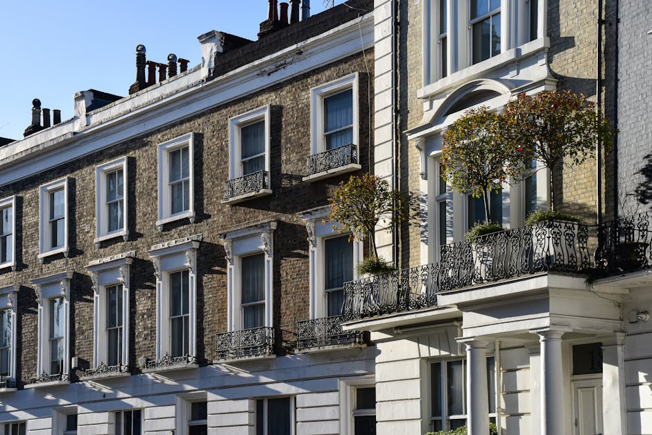 A close-up view of a London terrace garden attached to a historic Georgian-style building, showing two lush, rounded trees with dense foliage and reddish blossoms on a decorative wrought iron balcony. The garden features a variety of plants and shrubs, with the balcony railing intricately designed, contrasting against the light-colored facade of the building. The building’s exterior displays classic architectural details, including tall sash windows framed with white trim, and a white cornice running along the top. Sunlight illuminates the scene, casting shadows on the textured brickwork and highlighting the greenery. Visible gardening tools or ongoing maintenance activities are not present, but the neatly maintained plants suggest regular care by professional gardeners like Gardeners Soho, specialists in garden maintenance and landscaping work, ensuring tidy and attractive outdoor spaces on W1 terrace gardens.