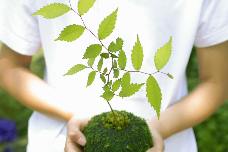 home plants